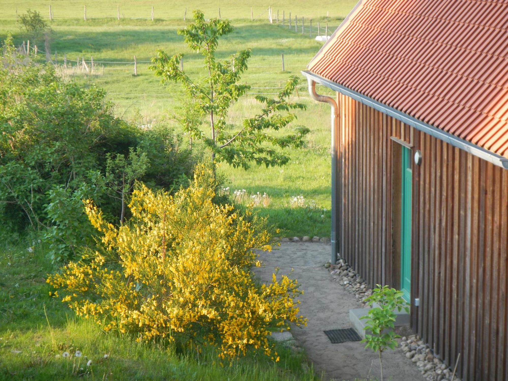 Ferienlandhaus Zempow Eksteriør bilde